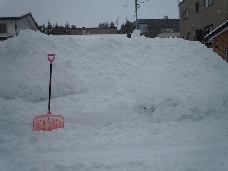 札幌は猛吹雪！除雪・排雪の業者探しならベンリーでいかが？ 店舗日記 【公式サイト】北海道札幌市西区琴似にあるベンリー札幌琴似店