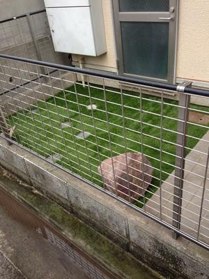 完成です!(*^。^*)