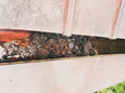 tenpo