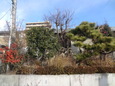 tenpo