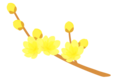 tenpo