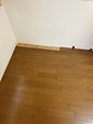 tenpo