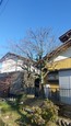 tenpo