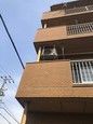 tenpo