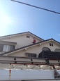 tenpo