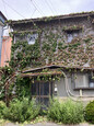 tenpo