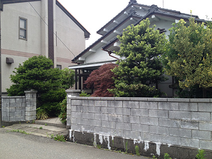 剪定前