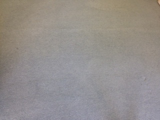 水蒸気を当てる前のカーペット。まだ汚れています。