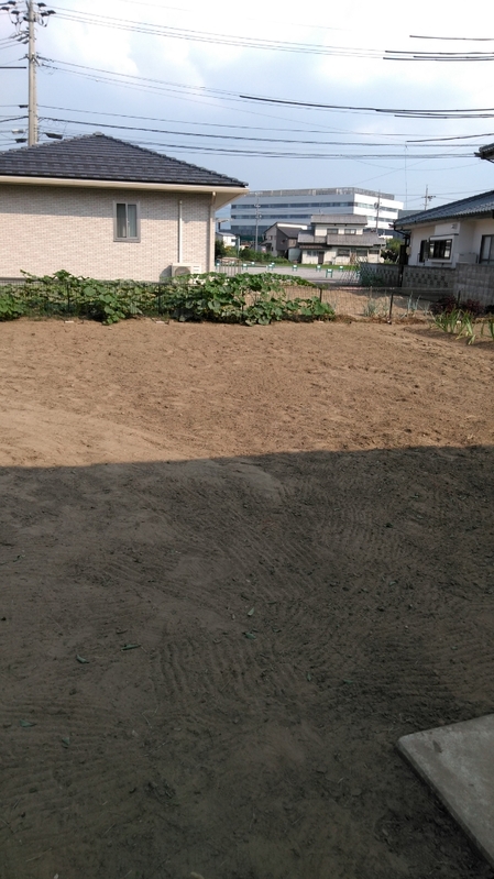 草取り