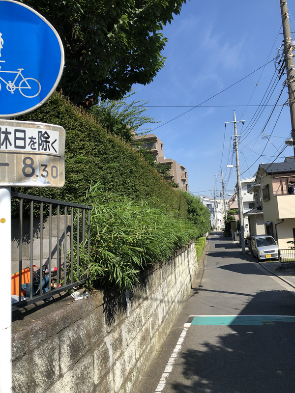 笹の葉ビフォー
