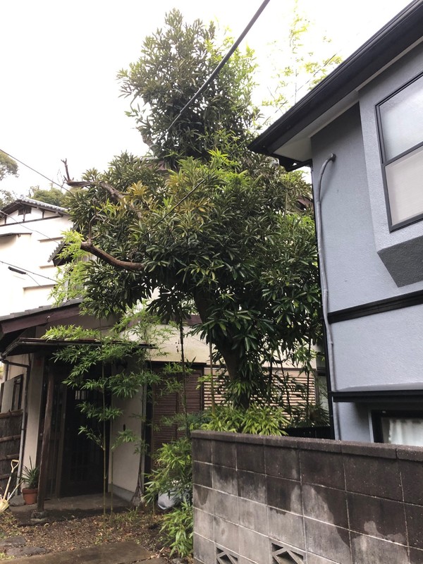 高木Before