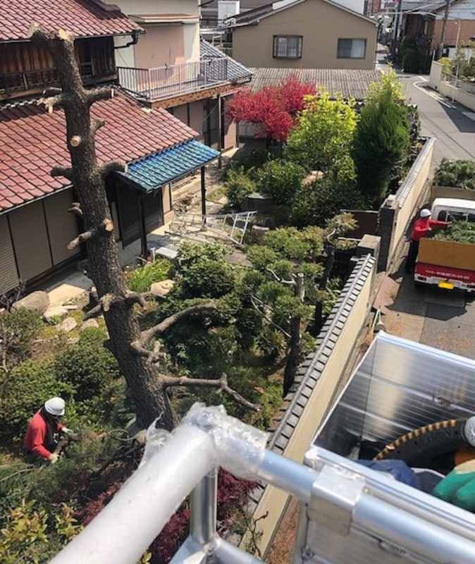 松上空