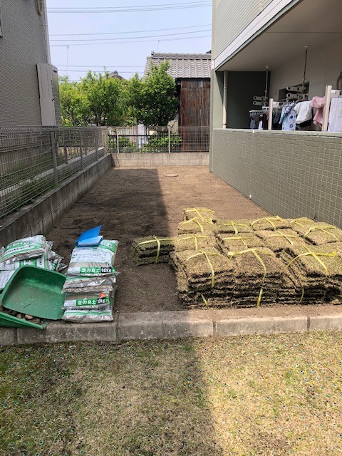 芝生