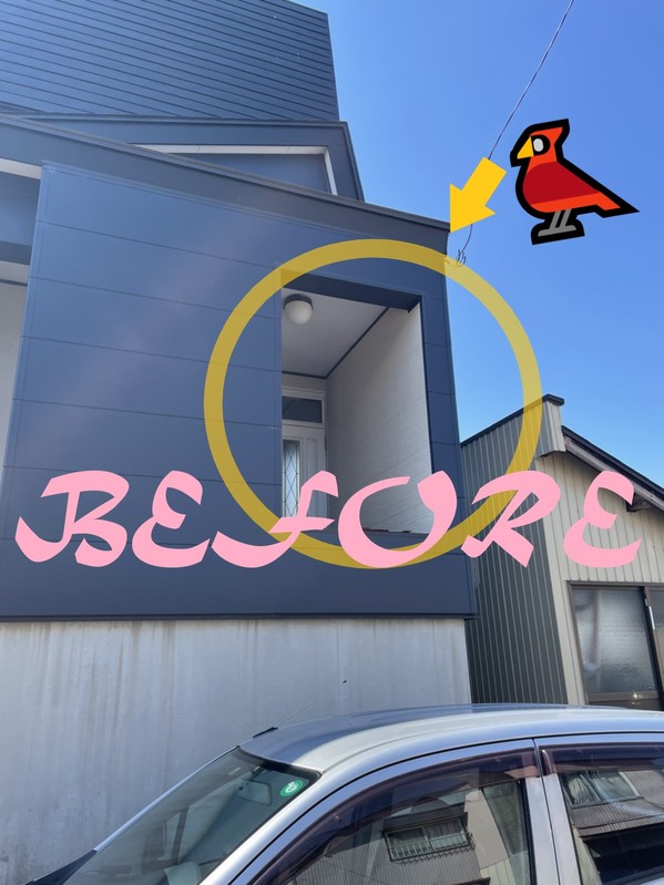 鳥除けネット