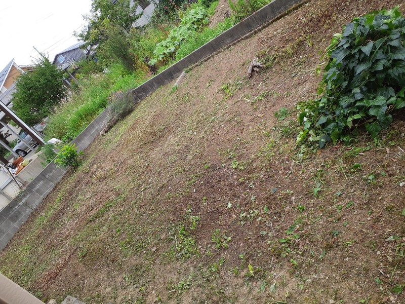 草刈り