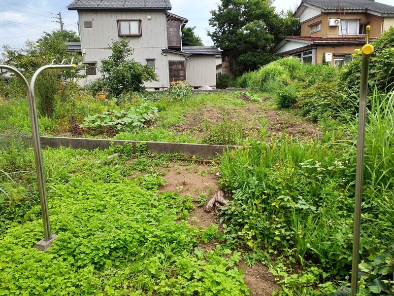 草刈り