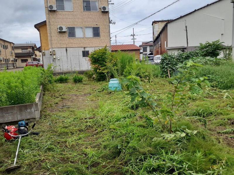 草刈り