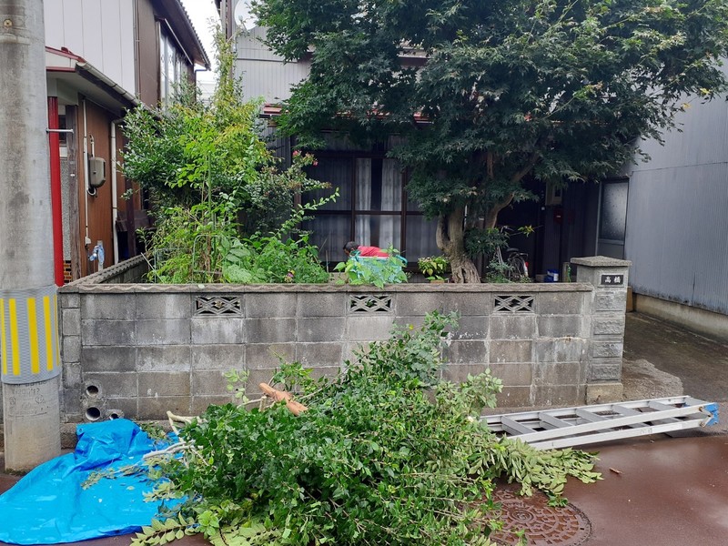 草取り・