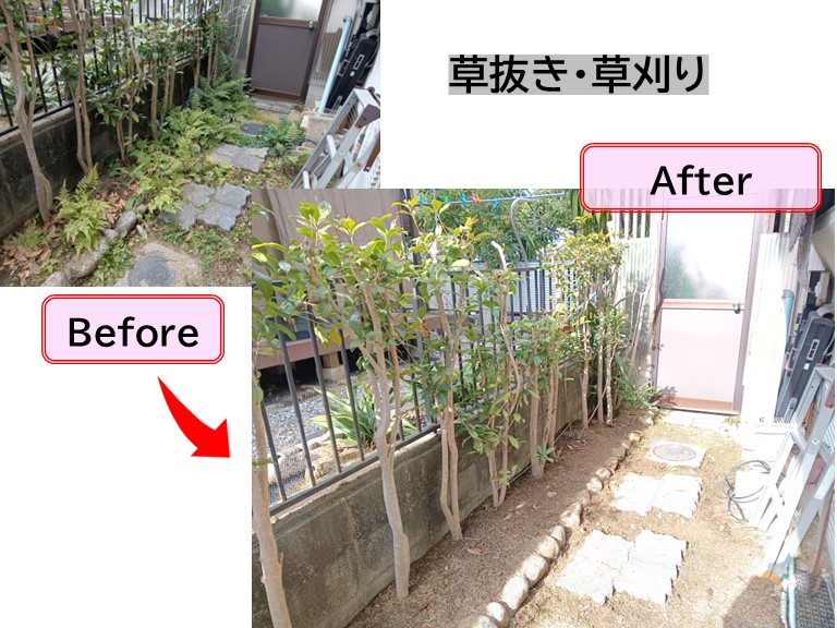庭木のお手入れ(1)