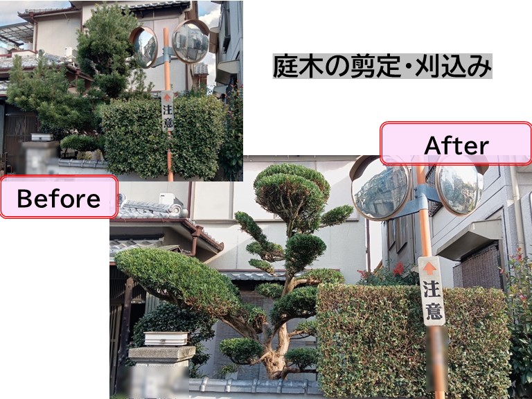 庭木の剪定刈込みビフォーアフター