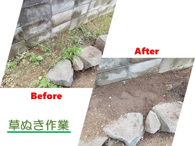 庭の草ぬきビフォーアフター