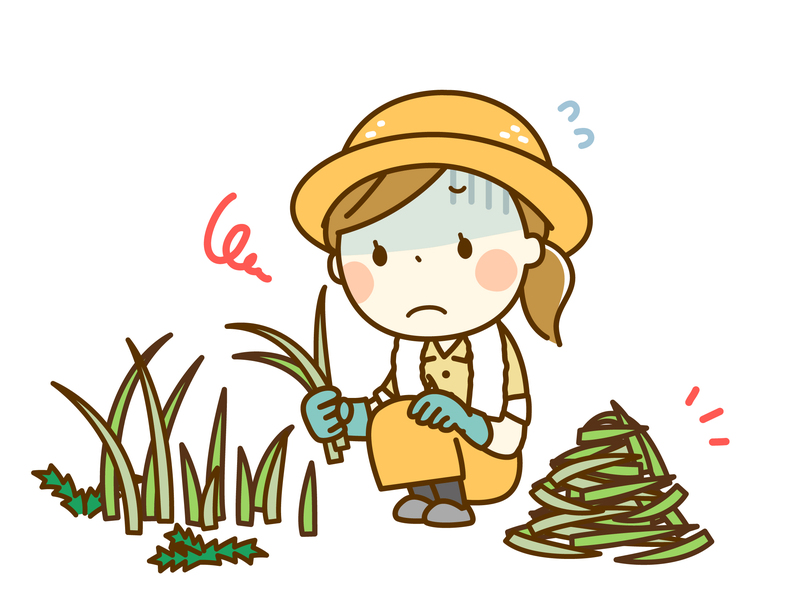 草抜き作業する女性