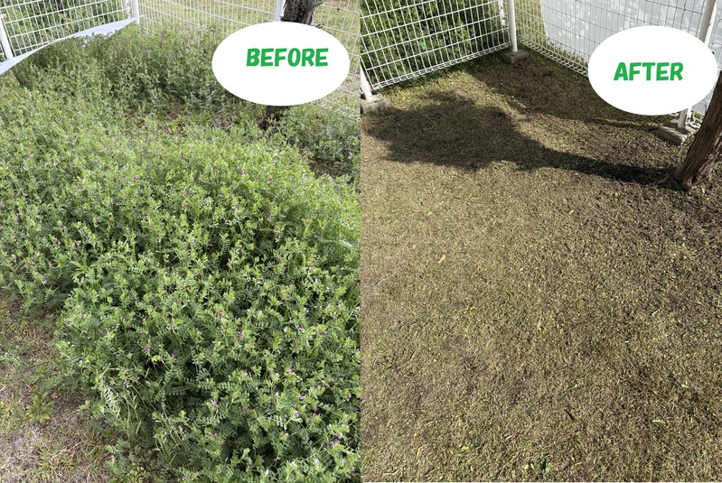 雑草の草刈りのビフォーアフター