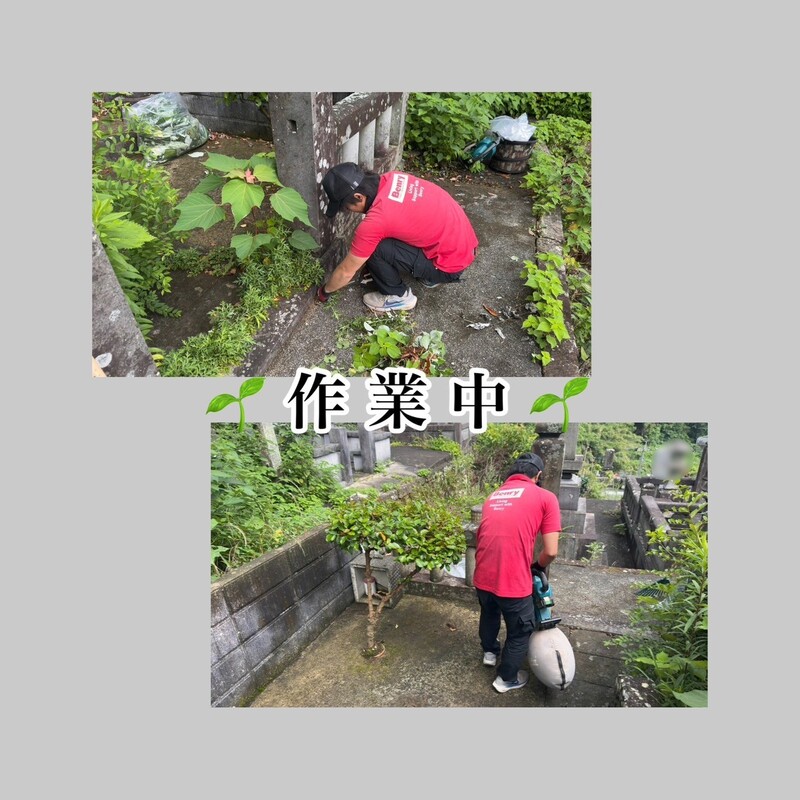 d3