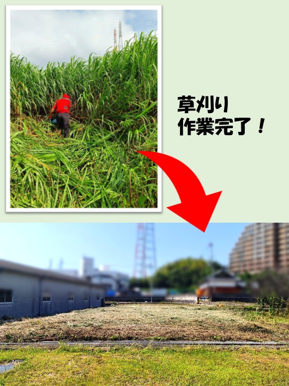伸びきった草刈りの風景
