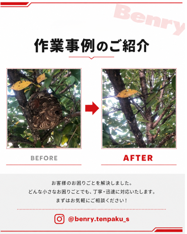 ベンリー天白島田店 庭木のハチの巣駆除 作業事例 ビフォーアフター