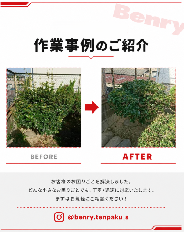 ベンリー天白島田店 庭木の剪定 作業事例 ビフォーアフター